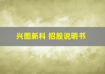 兴图新科 招股说明书